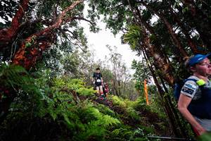 BIB: 
                            <button type="button" onclick="openModal(26202413)" class="btn btn-primary btn-sm float-right btn-popup" data-toggle="modal" data-target=".modal-high-quality">
                        <i class="fas fa-shopping-cart"></i> Add to Cart
                    </button>
                                            <button type="button" onclick="isThisMe(26202413, true)" class="btn btn-success btn-sm float-right btn-popup btn-isme hidden" data-toggle="tooltip" data-placement="bottom" title="นี่คือรูปของคุณใช่ไหม คลิกที่นี่เพื่อเอาเข้าอัลบั้ม">
                        <i class="fas fa-plus"></i> Add to album
                    </button>
                    <button type="button" onclick="isThisMe(26202413, false)" class="btn btn-warning btn-sm float-right btn-popup btn-isnotme hidden">
                        <i class="fas fa-ban"></i> Remove from album
                    </button>